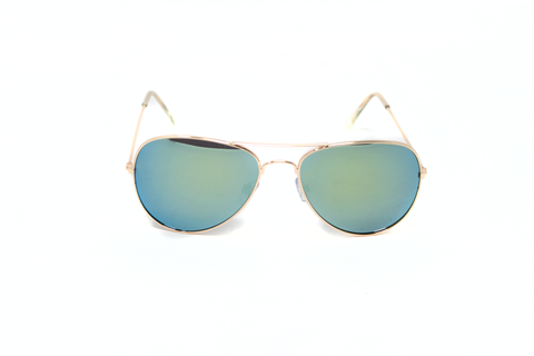 MT #99-200 Salter's Shades Sunglasses