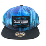 Snapback Cap -  California Blue Palms