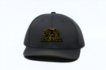 Snapback Cap Gold California Bear, Grey